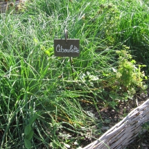 Potager panneau bois tressé