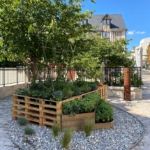 Jardin éphémère sans entretien